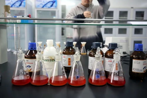 強(qiáng)制降解試驗(yàn)在藥物雜質(zhì)分析與生物試劑穩(wěn)定性評(píng)估中的關(guān)鍵作用