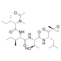 ARN2966 細(xì)胞生物學(xué)研究中的關(guān)鍵試劑解析與應(yīng)用